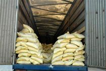 ۱۱۱ تن برنج خارجی قاچاق در هرمزگان کشف شد