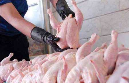 صادرات مرغ به بیش از هفت هزار تن رسید