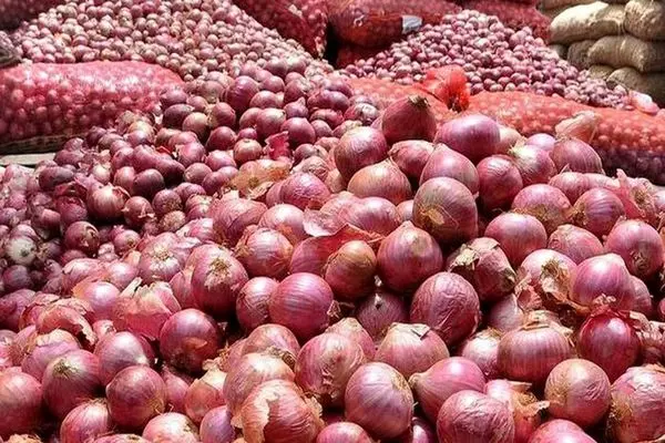 پرداخت ۷۵۰ میلیارد ریال از مطالبات خرید تضمینی پیاز هرمزگان