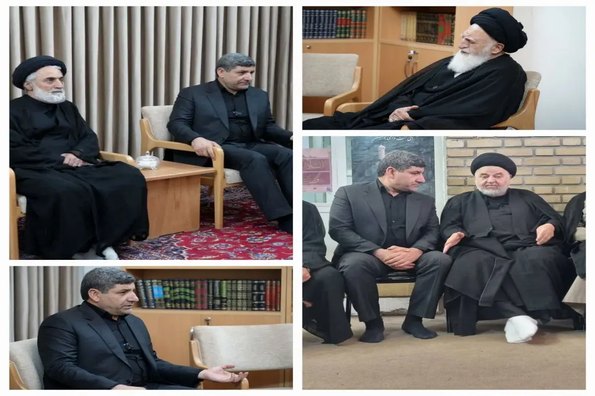 معاون فرهنگی معاون اول رئیسجمهور با علما و مراجع عظام تقلید دیدار کرد