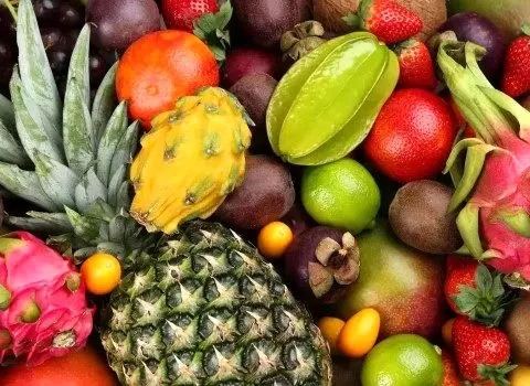 فارس پیشتاز در تولید میوه‌های گرمسیری و نیمه‌ گرمسیری کشور