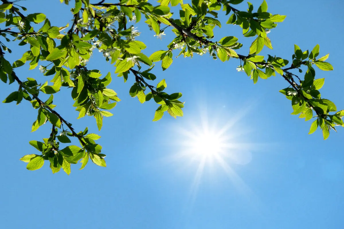 هواشناسی هرمزگان