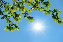 تداوم پایداری جوی در هرمزگان و آرامش کامل دریا تا فردا