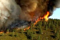 مهار شدن آتش سوزی جنگل های حاشیه رود ارس