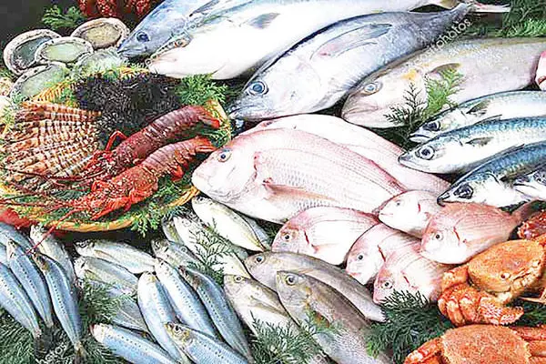 مسیر صادرات پایدار آبزیان مازندران به ازبکستان هموار می‌شود