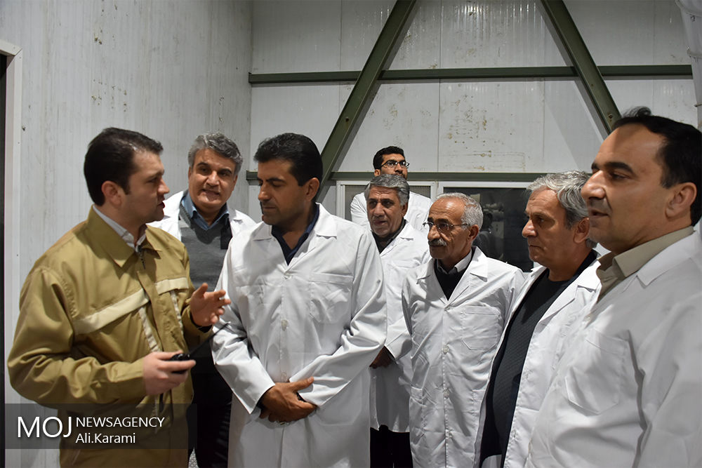 بازدید شبانه مدیرکل کار استان کردستان از چند کارگاه