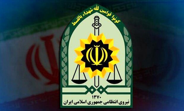 تقدیر نمایندگان از اقدامات نیروی انتظامی در حوزه حجاب و عفاف