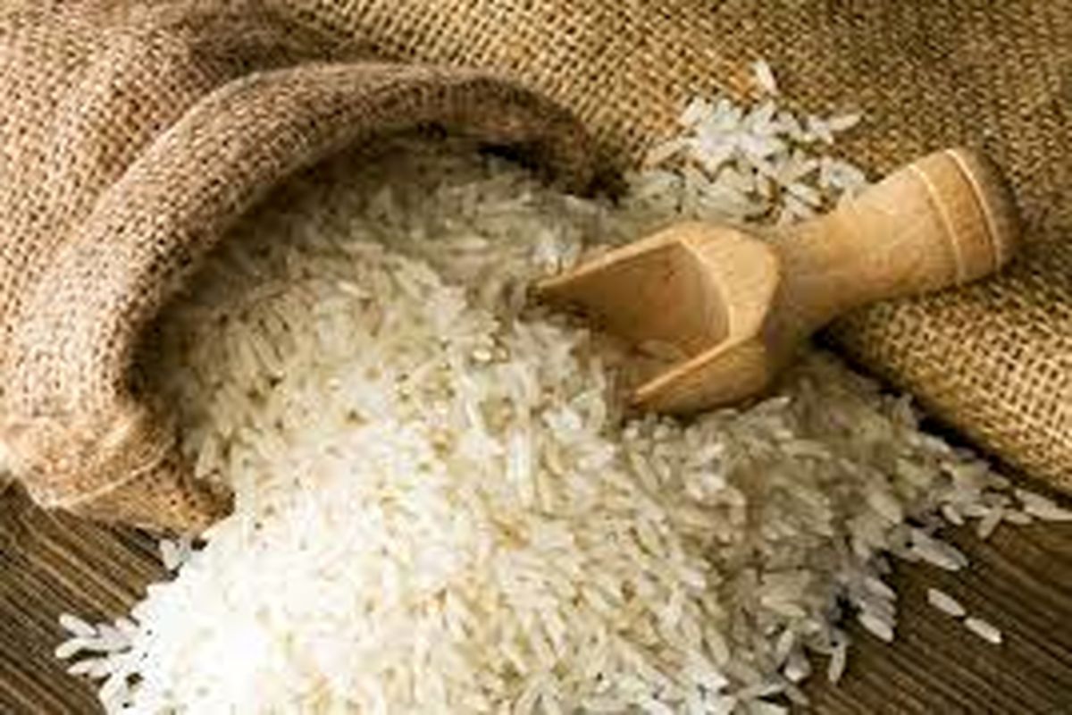تقاضای بالای ایران، صادرات برنج باسماتی هند را افزایش داد
