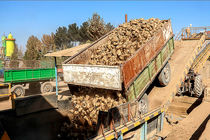 کارخانه قند جوین، ۲۴۴ هزار تن چغندر قند از کشاورزان تحویل گرفت