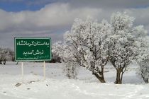 بارش برف در کرمانشاه به 4.3 سانتیمتر رسید/ کاهش دمای 8 درجه زیر صفر در راه است