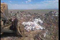 400کیلو مرغ غیر قابل مصرف در شهرستان البرز معدوم شد