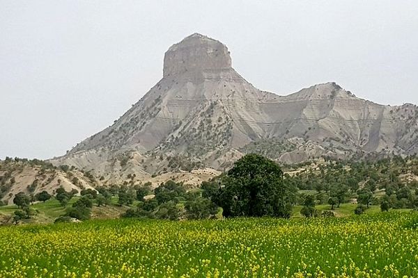 ایلام در هفته ای که گذشت