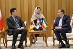 روابط تجاری ایران و کره جنوبی با کمک بخش خصوصی دو کشور تقویت می شود