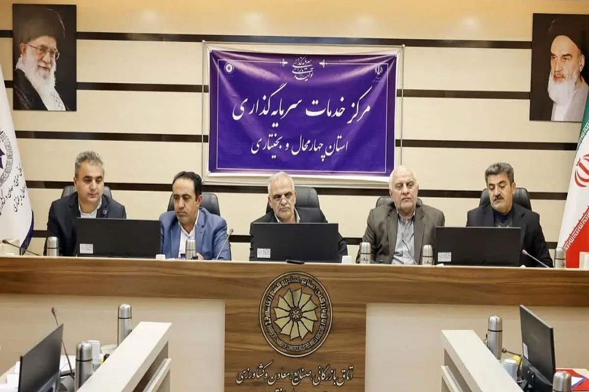 سرمایه گزاری