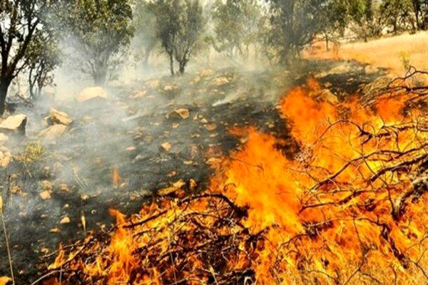 آتش سوزی به باغداران مینابی 160میلیون خسارت وارد کرد