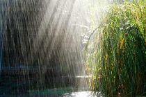 پیش بینی رگبارهای پراکنده باران در شیرکوه از بعدازظهر سه شنبه 