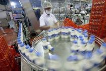 شیر تولیدی ایران، قابل رقابت با  دامداری های صنعتی اروپا 