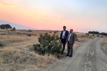 بازدید میدانی مدیرکل منابع طبیعی و آبخیزداری استان ایلام از پروژه های اجرایی شهرستان بدره