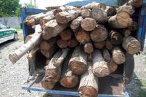 3 تن چوب بلوط قاچاق در نجف آباد کشف شد