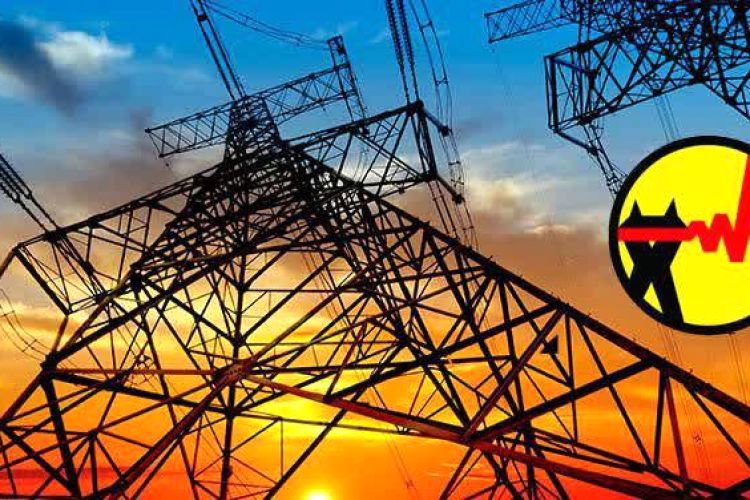  68 پروژه شرکت توزیع نیروی برق مازندران در هفته دولت به بهره برداری می رسد