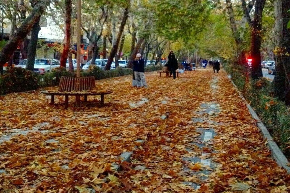 جمع آوری بیش از 2300 تن برگ پاییزی در اصفهان