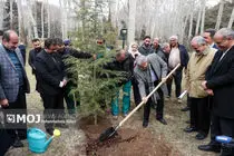 آیین مقدس و نکوداشت روز درختکاری با عنوان "ستایش رستن"