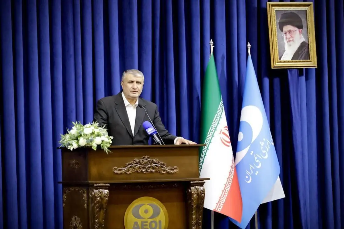 تمامی ظرفیتها، فرایندها و اهداف برنامه هستهای ایران شفاف است