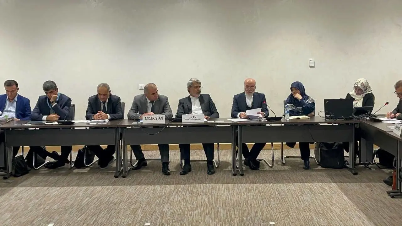 سیاسی‌کاری، شورای حقوق بشر سازمان ملل را بی‌اعتبار می‌کند