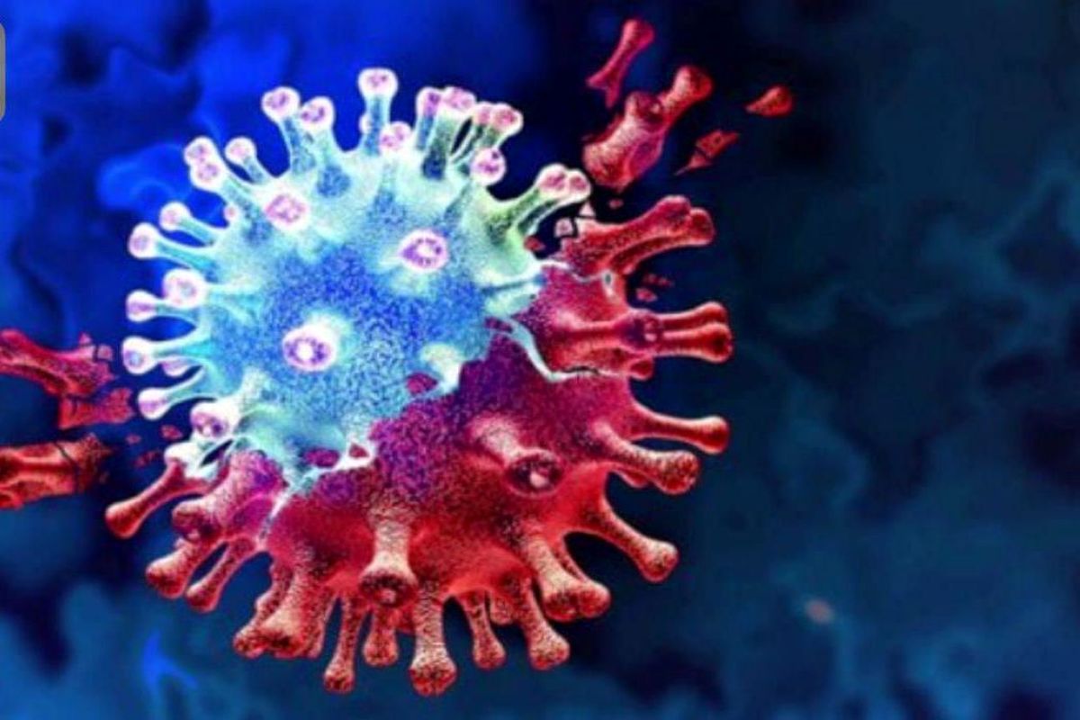 ثبت 7 ابتلای جدید به ویروس کرونا در منطقه کاشان / بدون فوتی
