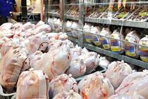 خرید حمایتی ۳۰۰ تن مرغ گوشتی از مرغداران خراسان رضوی