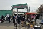 بهترین گلفروشی بازار گل محلاتی