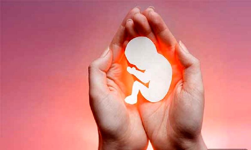 بازار پر سود سقط جنین و مادران در معرض خطر جانی / از قانون جوانی جمعیت تا آمارهای نگران کننده سقط جنین