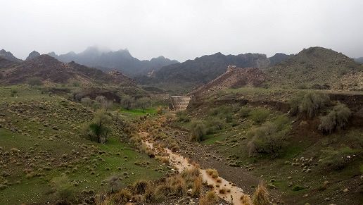 حفاظت مشارکتی از مراتع هرمزگان به مرز دو میلیون هکتار رسید  