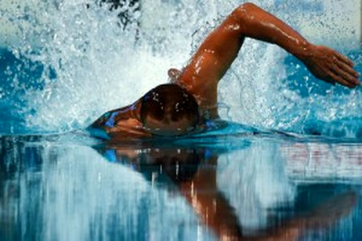 ۱۳ مدال خوشرنگ حاصل کار شناگران ایران در پایان رقابت‌ها