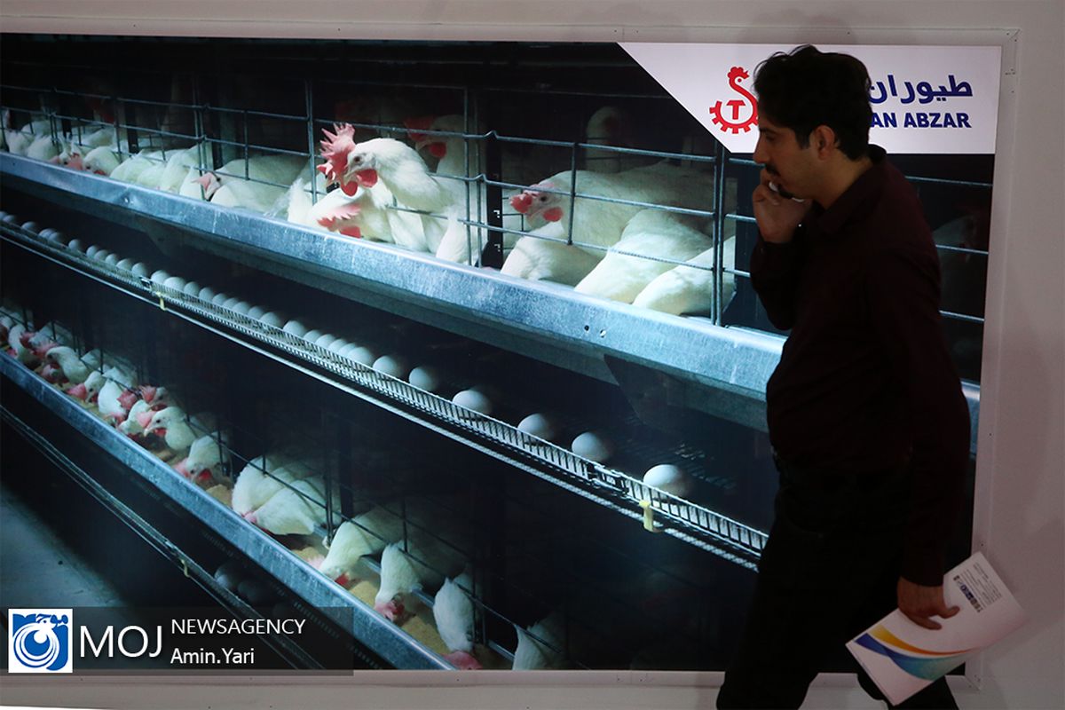 هجدهمین نمایشگاه بین الملی دام،طیور و صنایع وابسته