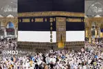 آغاز ثبت‌نام عمره تا چند روز آینده 