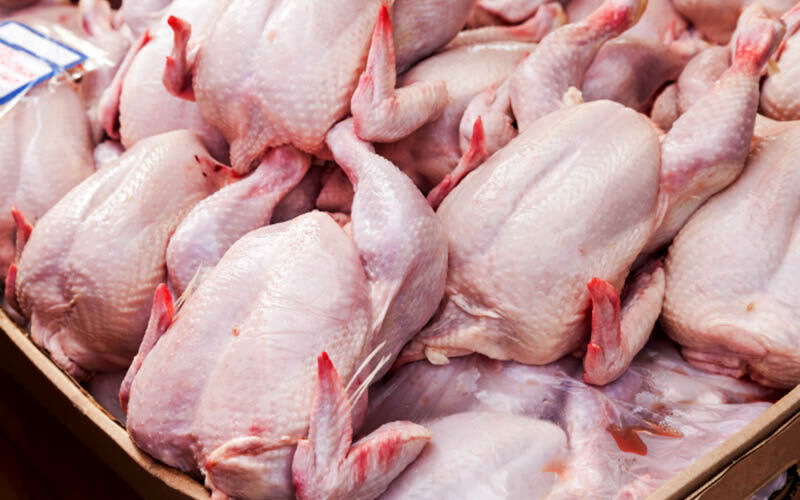 ادعاها  درباره خرید پوست مرغ توسط مردم صحت ندارد / قیمت گوشت مرغ تغییر نمی کند