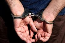 شناسایی و دستگیری ۱۱۰ نفر محرک و عاملین اغتشاشات شب گذشته در فارس 