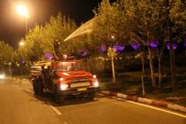 عملیات مقابله با آفات درختان نارون در کلانشهر مشهد