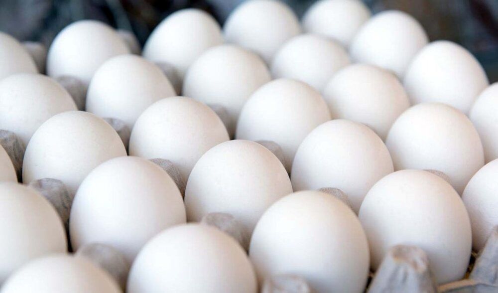 کاهش ۳۰۰۰ تومانی قیمت هر شانه تخم مرغ در بازار