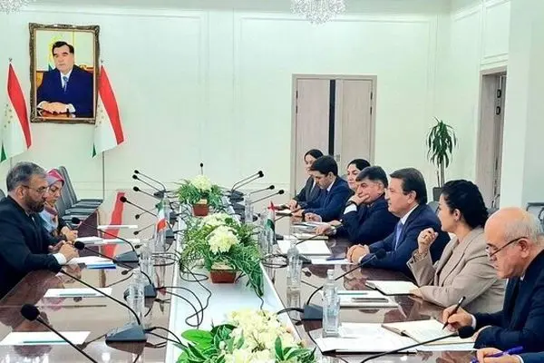 سفیر ایران در دوشنبه بر تشکیل «کمیته مشترک سلامت» ایران و تاجیکستان تاکید کرد