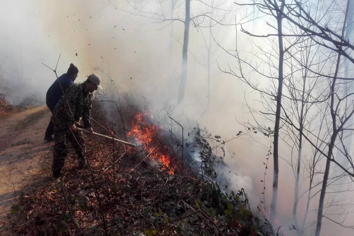 جنگل وِیسَر کجور سه روز در آتش  سوخت/ آتش سوزی سریالی در منابع طبیعی غرب مازندران