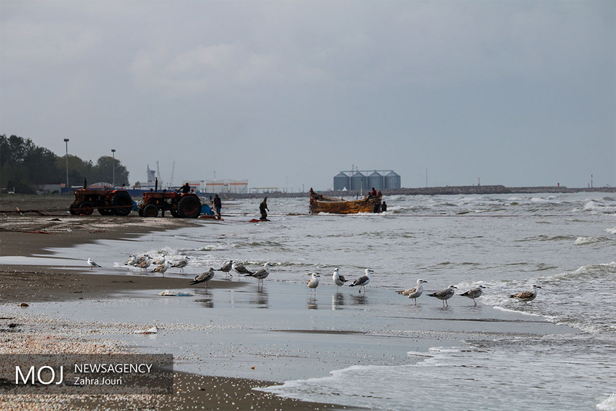 غرق شدن چهار نفر در اولین روز تعطیلات در دریای خزر