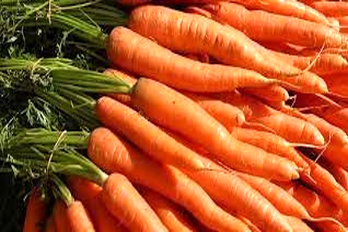 دلیل اصلی بالا رفتن قیمت هویج افزایش تقاضا مردم به دلیل کرونا است 