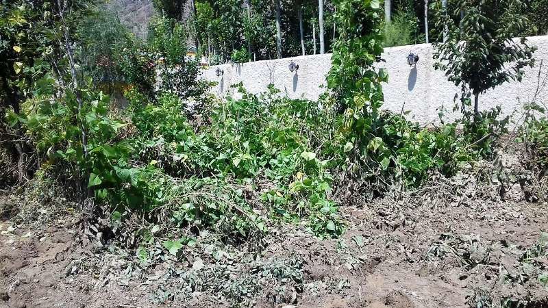 خسارت بیش از 500 میلیارد تومانی سیل به مازندران