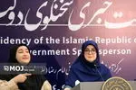 جزئیات محموله خطرناک بندر شهید رجایی پس از بررسی کارشناسی اعلام می‌شود
