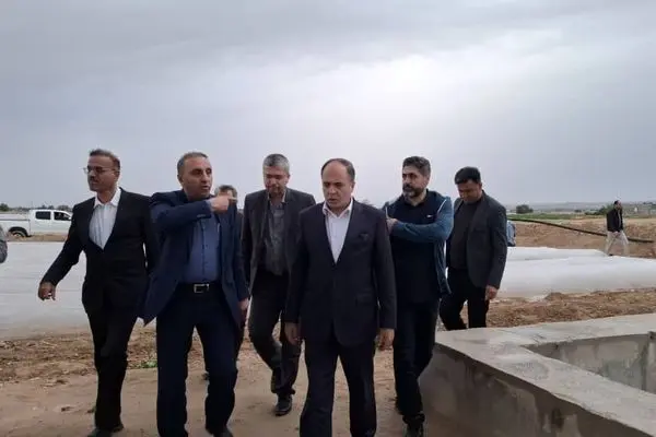 وزیر جهاد کشاورزی از پروژه آبیاری تحت فشار در دشتستان بازدید کرد