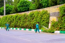 نظافت روزانه حدود ۳۰۰ هزار متر مربع پارکها و فضای سبز منطقه ۱۲ شهرداری اصفهان
