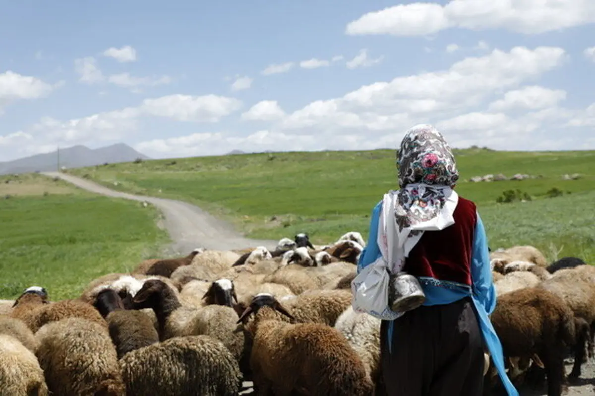 فیلم کوتاه دشت می‌خواند