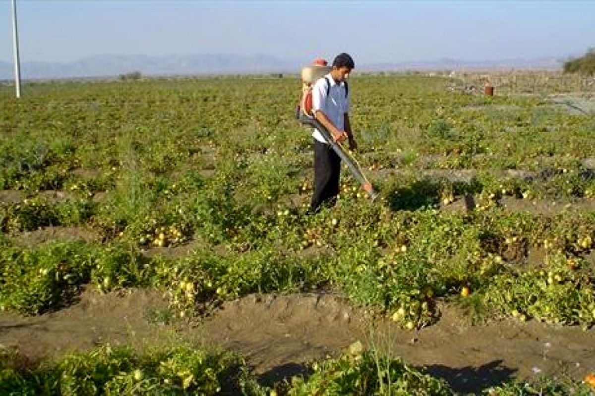 خاک هوشمند برای مصارف کشاورزی تولید می شود